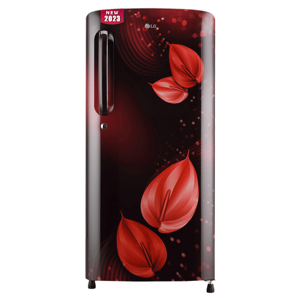 Lg medium size on sale fridge price